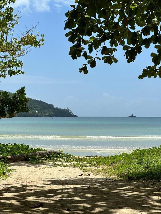 Mokara Holiday Apartment Anse Royale Exterior foto