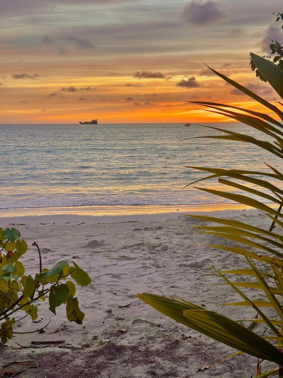 Mokara Holiday Apartment Anse Royale Exterior foto